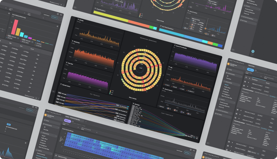 Netography Fusion Dashboard System image